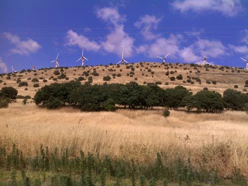 Biomass Co-Firing In Coal Power Plants