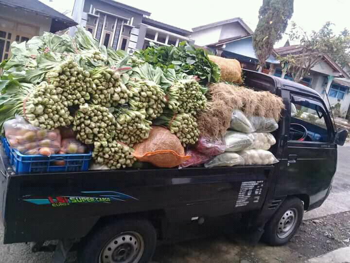 Kisah Sukses Bakul Sayur Asli Cindaga - REVORMER