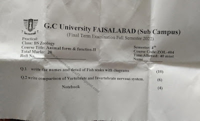 Animal Form and Function-II Practical paper 2022 BS Zoology 4rth Semester Part 1 Mian Campus