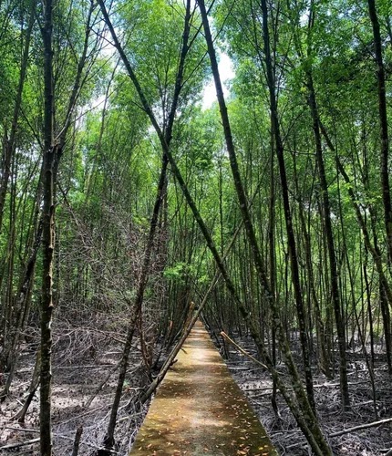 Kuala Selangor Nature Park