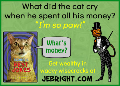 What did the cat cry when he spent all his money?