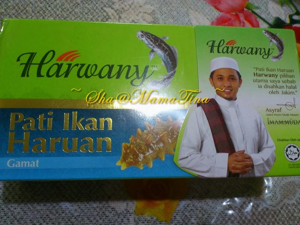 TinaMamaAbah: Pati Ikan Haruan Harwany