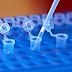 Saudi Researchers Develop Diagnostic Test for Coronavirus