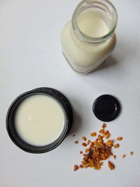 Lait de noix de cajou cashew milk