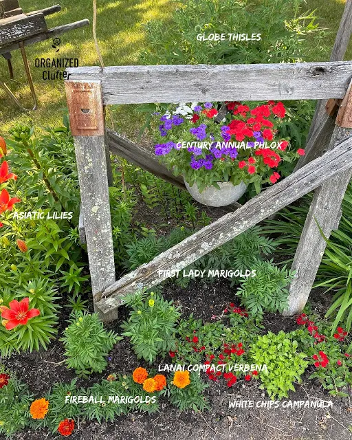 Photo of front yard flower border.