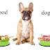 What Is the Best Dog Food?