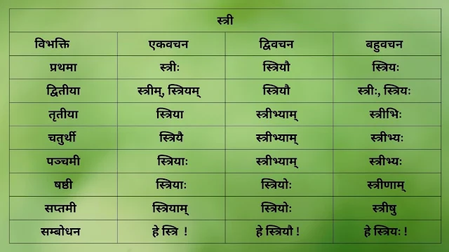 स्त्री शब्द के  रूप (Stri Shabda ke roop)/Stri Shabd Roop in Sanskrit