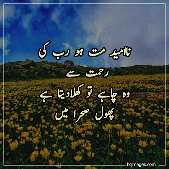 islamic quotes in urdu