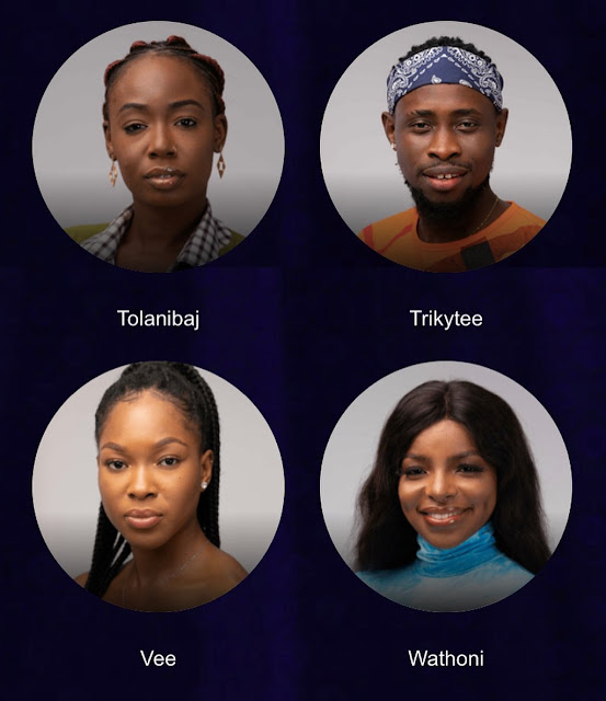 #BBNaija: Meet the 2020 BBNaija Lockdown housemates