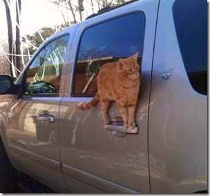 Youre not going anywhere until I get my noms