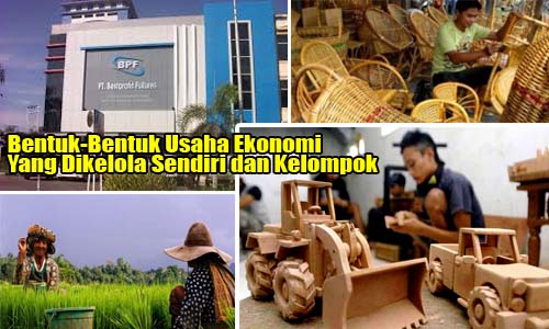  Jenis  Usaha  Ekonomi Yang Dikelola Sendiri dan  Kelompok 