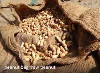 How to make peanut for sell