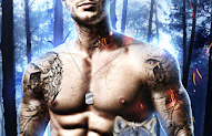 Shifter's perception (Wolf pack epecial Ops elite 5) - Sammie Joyce