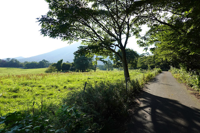 鳥取県西伯郡伯耆町小林　だいせん牧場　大山の眺望