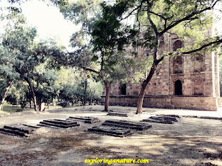 Bage Aalam Ka Gumbad at Hauz Khash