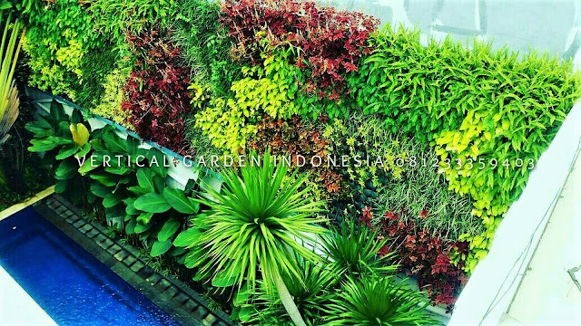 VERTICAL GARDEN INDONESIA SPESIALIS JASA PEMBUATAN VERTICAL GARDEN DI SUKOHARJO JAWA TENGAH DAN DI SELURUH WILAYAH JAWA TENGAH DENGAN TENAGA YANG PROFESIONAL DAN DAPAT DI PERCAYA YANG SELALU MENGUTAMAKAN SEBUAH MUTU DAN KUALITAS PEMASANGAN VERTICAL GARDEN/TAMAN DINDING, JASA TUKANG TAMAN VERTICAL SUKOHARJO JAWA TENGAH, JASA VERTICAL GARDEN SUKOHARJO JAWA TENGAH