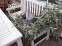 DSC01342