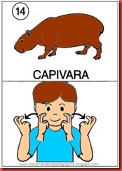 Animais em libras fichas colorida 14