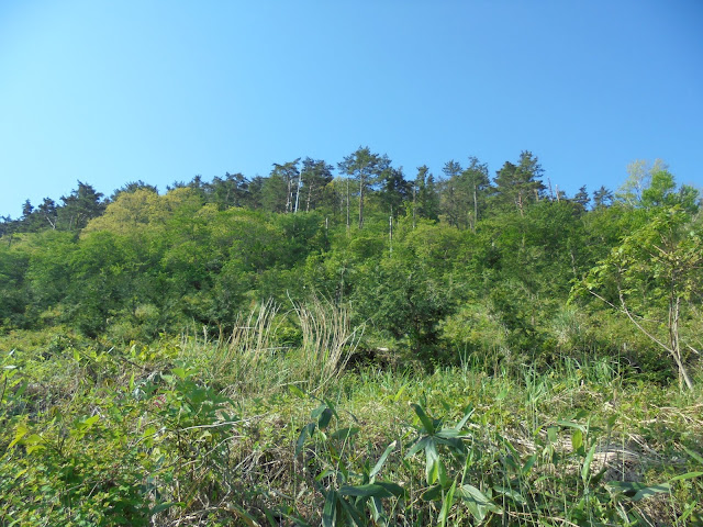 大平山