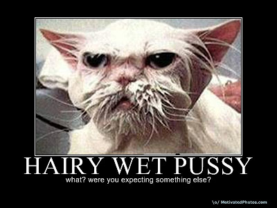 Here's a nice hairy wet pussy