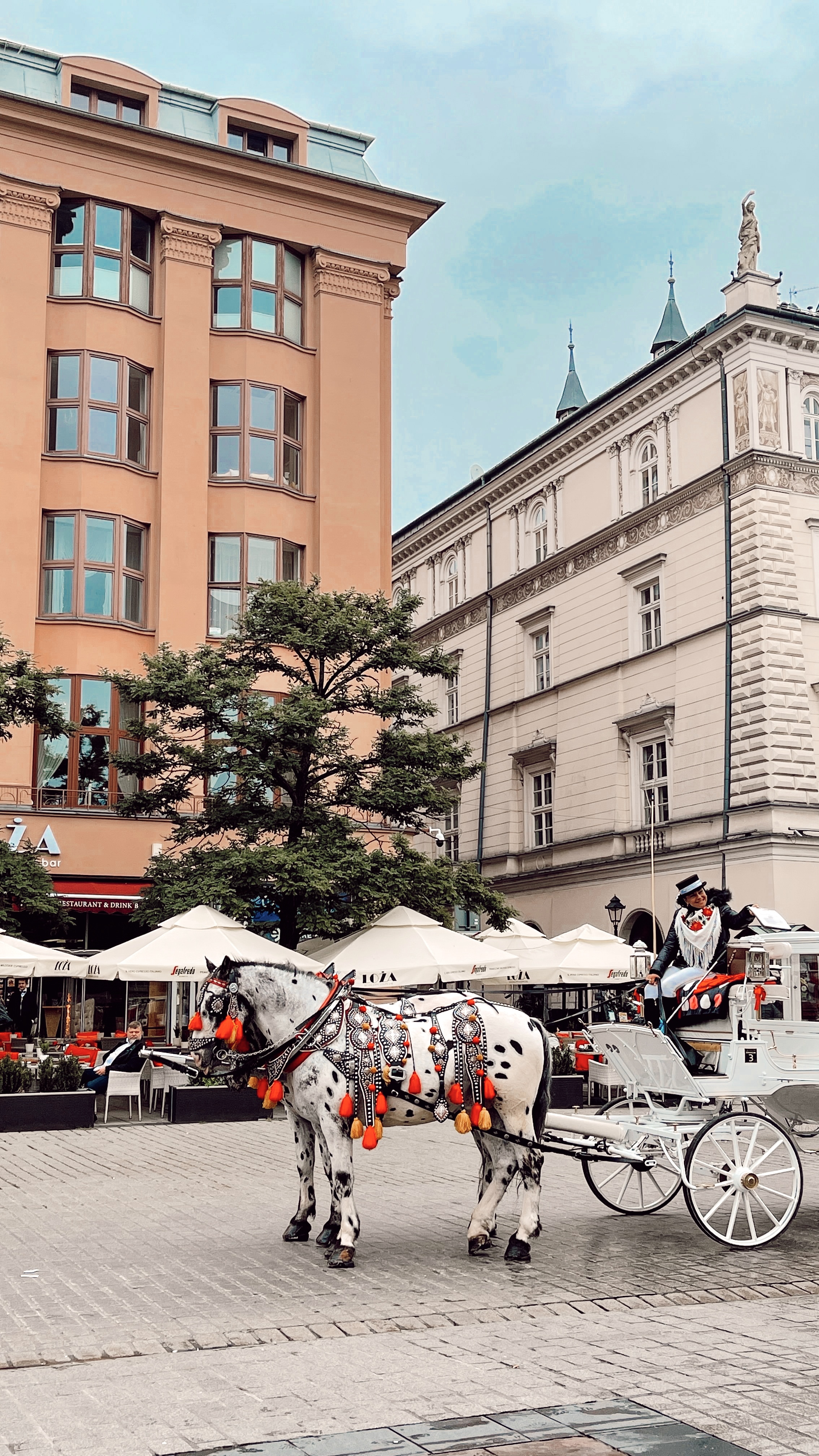 Horse and Cart Rides in Krakow Old Town Square