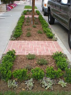 Sidewalk Garden (After)