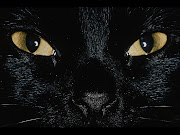 Black Cat Face Wallpaper (cat face wallpaper)