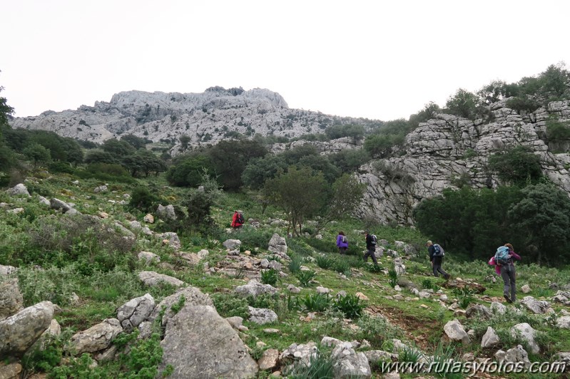 Sierra de los Pinos por las Pulgas