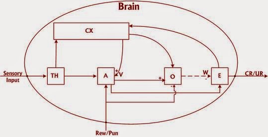 Computational Model