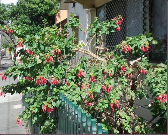 2011-11-11 10.58.17