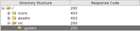 Dynstr CTF Write Up