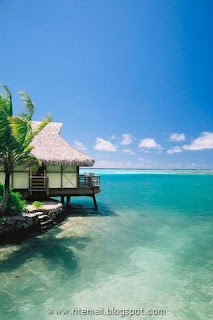 Tropical Island Of Fiji 