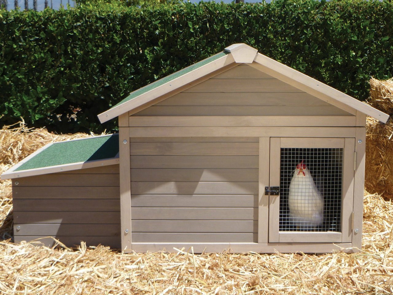 Barn Shaped Chicken Coop - Build Your Own Chicken Coop. Save $1000 Get 