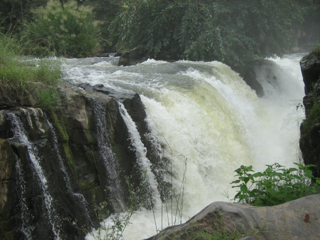 Hogenakkal Falls From Bangalore