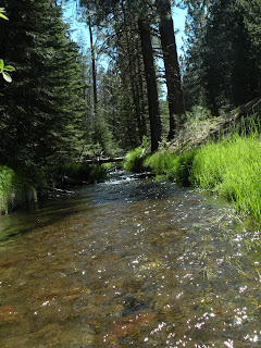 Lassen National Forest, Hat Creek running clean and clear