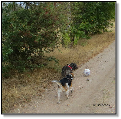 Emma und Lotte