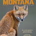In Montana Magazine