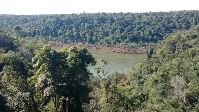 the Iguazu jungle- a few km from the falls