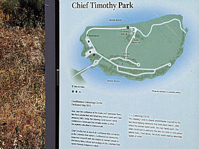 chief timothy park