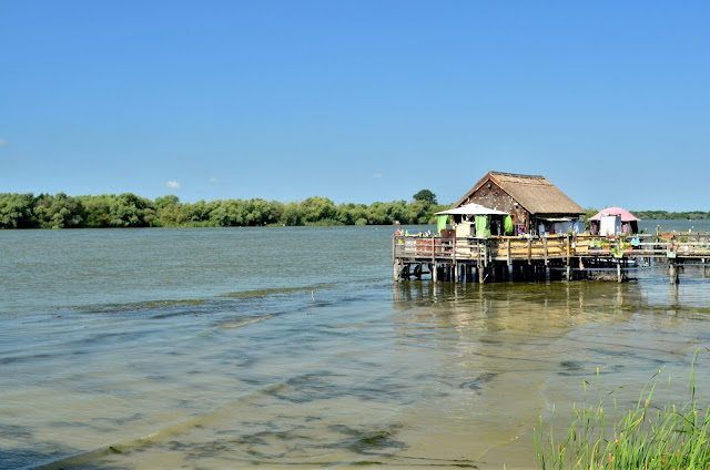 delta danubio fotografia rumania