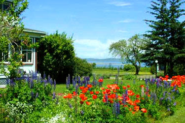 Flowers grown outside beautiful House.