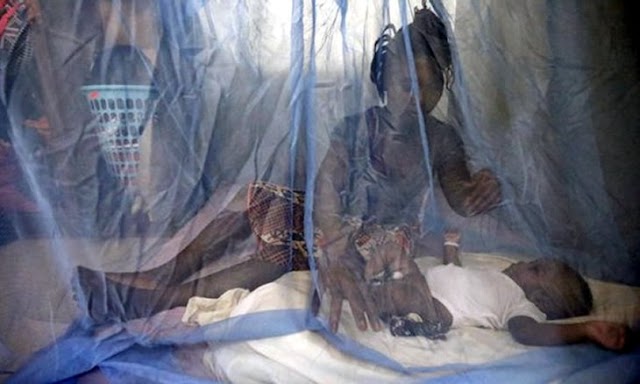 Malária e pneumonia tidas como principais causas da mortalidade infantil em Moçambique