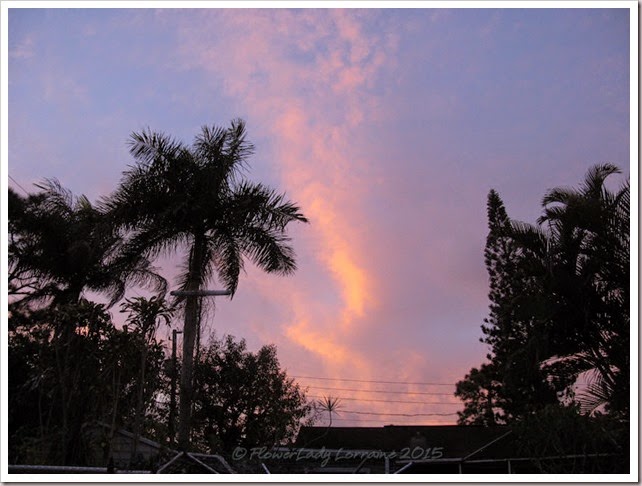 02-26-sunrise
