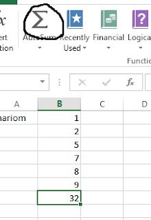 Auto Sum MS Excel