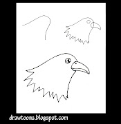 How to draw a bird head. Drawing tips on a robot bird head