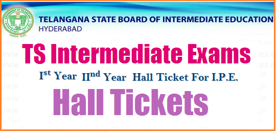 TS Intermediate hall tickets 2018-2019, Results