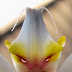 Angry Orchid