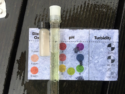 透過簡易的水質檢測包，了解龍潭湖的溶氧與pH值