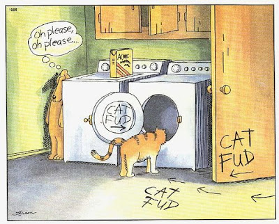  cat into a clothes dryer by enticing him with paw-lettered signs and 