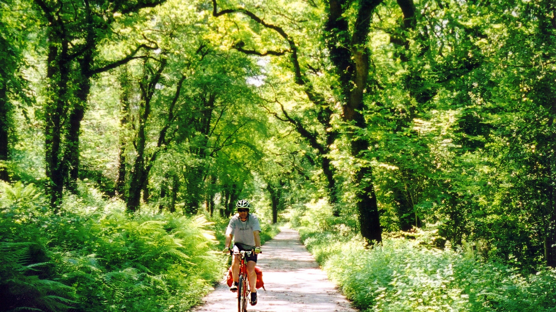 Camel Trail cycle route from Bodmin to Wadebridge and then Padstow